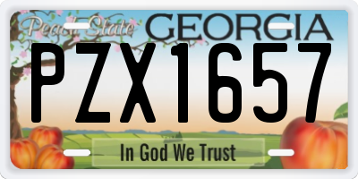 GA license plate PZX1657
