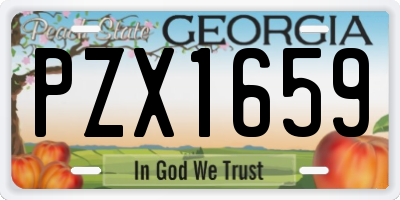 GA license plate PZX1659