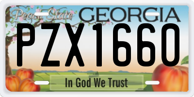 GA license plate PZX1660