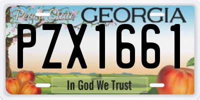 GA license plate PZX1661