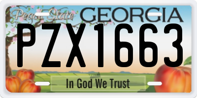 GA license plate PZX1663