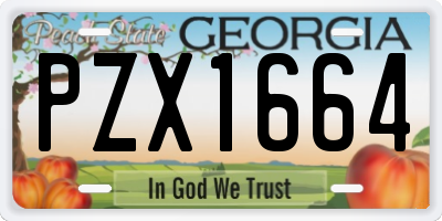 GA license plate PZX1664