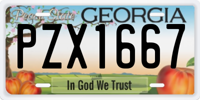 GA license plate PZX1667