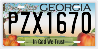 GA license plate PZX1670