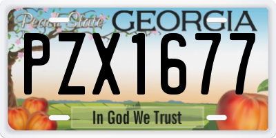 GA license plate PZX1677