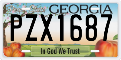 GA license plate PZX1687