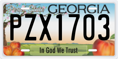 GA license plate PZX1703