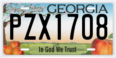 GA license plate PZX1708