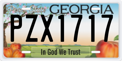 GA license plate PZX1717