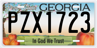 GA license plate PZX1723