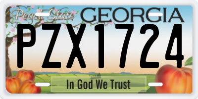 GA license plate PZX1724