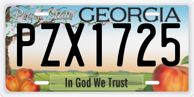 GA license plate PZX1725