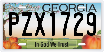 GA license plate PZX1729