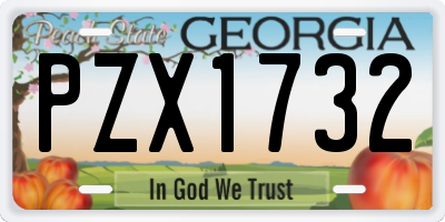 GA license plate PZX1732