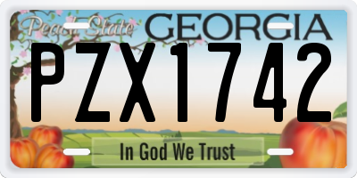 GA license plate PZX1742