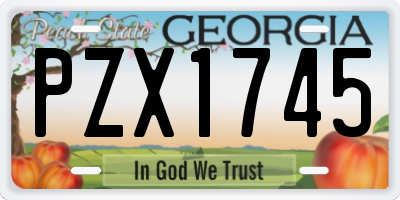GA license plate PZX1745