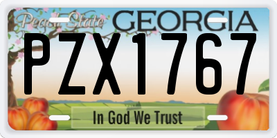 GA license plate PZX1767