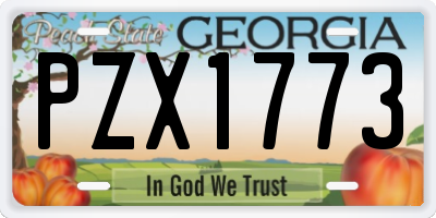 GA license plate PZX1773