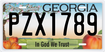 GA license plate PZX1789