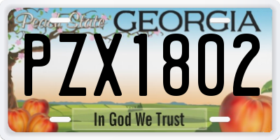 GA license plate PZX1802