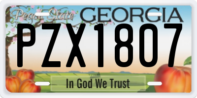 GA license plate PZX1807