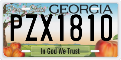 GA license plate PZX1810