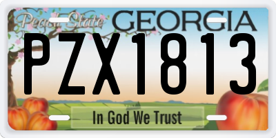 GA license plate PZX1813