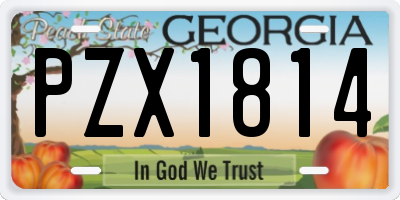 GA license plate PZX1814