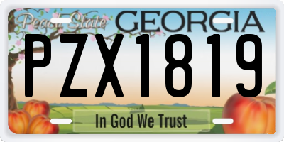 GA license plate PZX1819