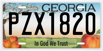 GA license plate PZX1820