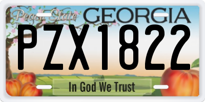 GA license plate PZX1822