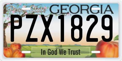 GA license plate PZX1829