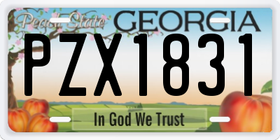 GA license plate PZX1831