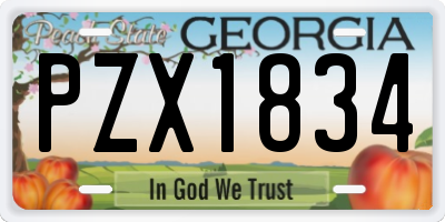 GA license plate PZX1834