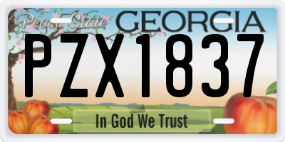 GA license plate PZX1837