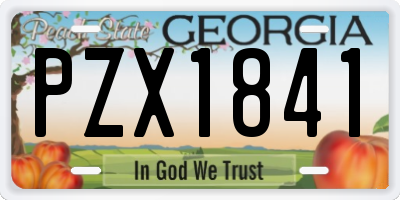 GA license plate PZX1841