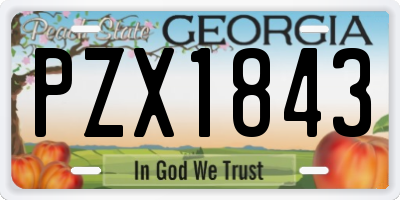 GA license plate PZX1843