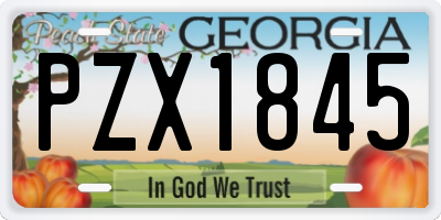 GA license plate PZX1845