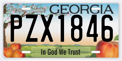 GA license plate PZX1846