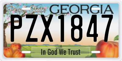 GA license plate PZX1847