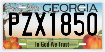 GA license plate PZX1850