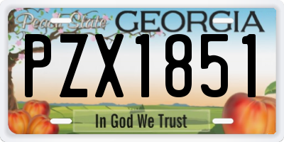 GA license plate PZX1851