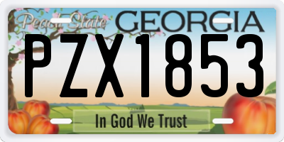 GA license plate PZX1853