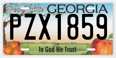GA license plate PZX1859