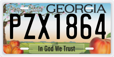 GA license plate PZX1864