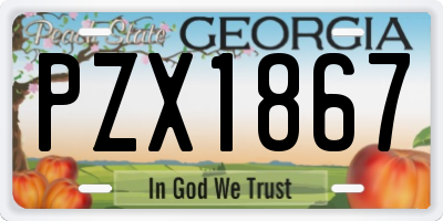GA license plate PZX1867
