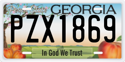 GA license plate PZX1869