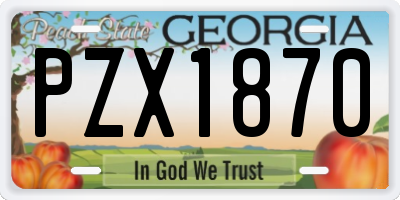 GA license plate PZX1870