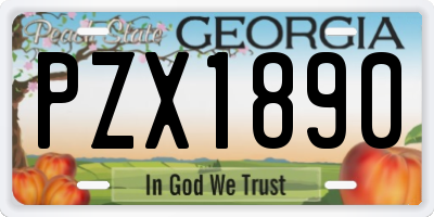GA license plate PZX1890