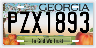 GA license plate PZX1893